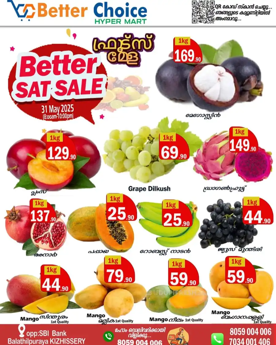 Better Sat Sale In Better Choice undefined