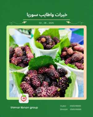 Monday Deals In Thimar Libnan Dubai,Sharjah / Ajman