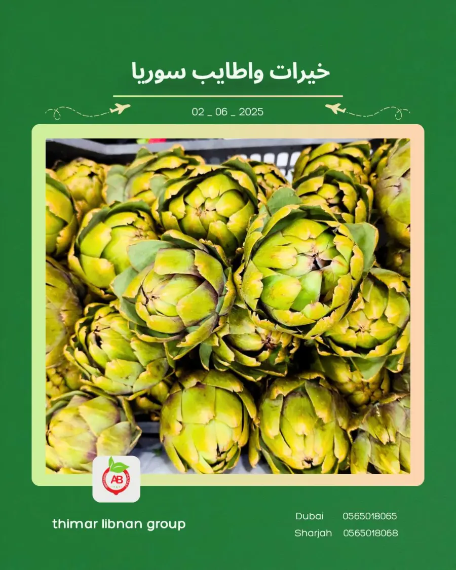 Monday Deals In Thimar Libnan Dubai