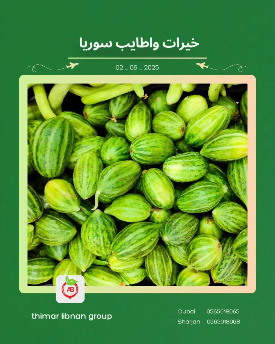 Monday Deals In Thimar Libnan Dubai