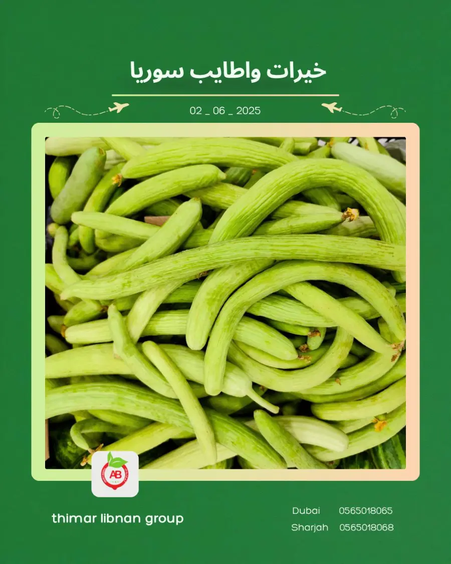 Monday Deals In Thimar Libnan Dubai