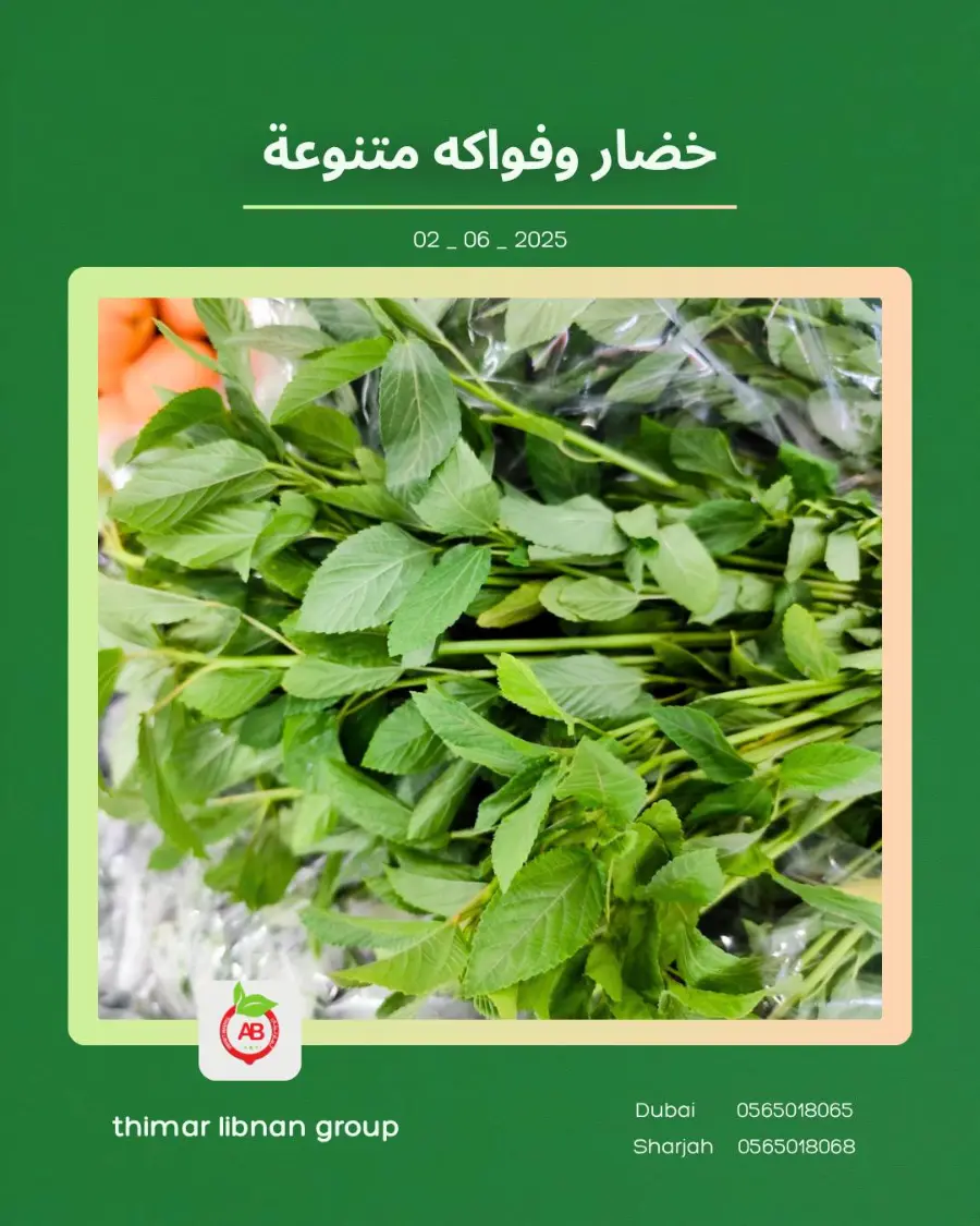 Monday Deals In Thimar Libnan Dubai