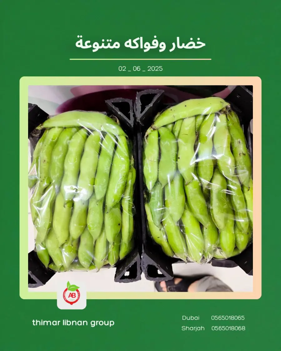 Monday Deals In Thimar Libnan Dubai