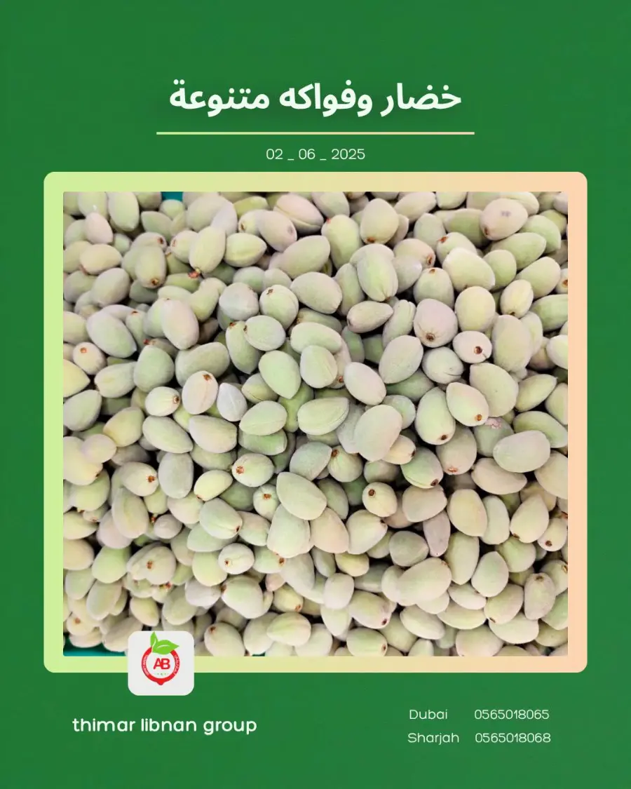 Monday Deals In Thimar Libnan Dubai