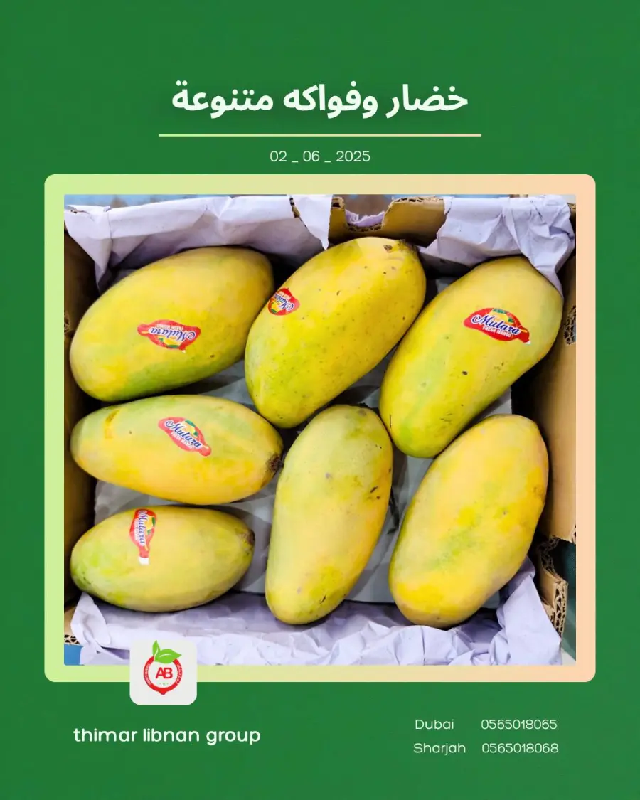 Monday Deals In Thimar Libnan Dubai