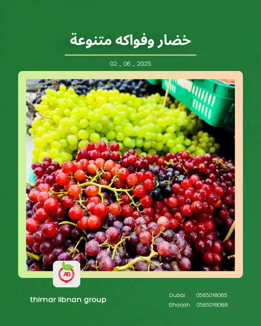 Monday Deals In Thimar Libnan Dubai