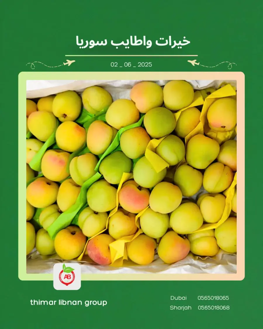Monday Deals In Thimar Libnan Dubai