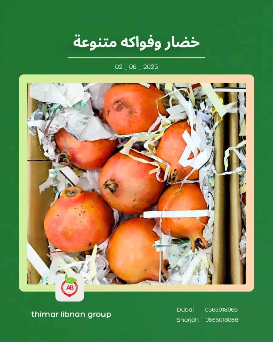 Monday Deals In Thimar Libnan Dubai