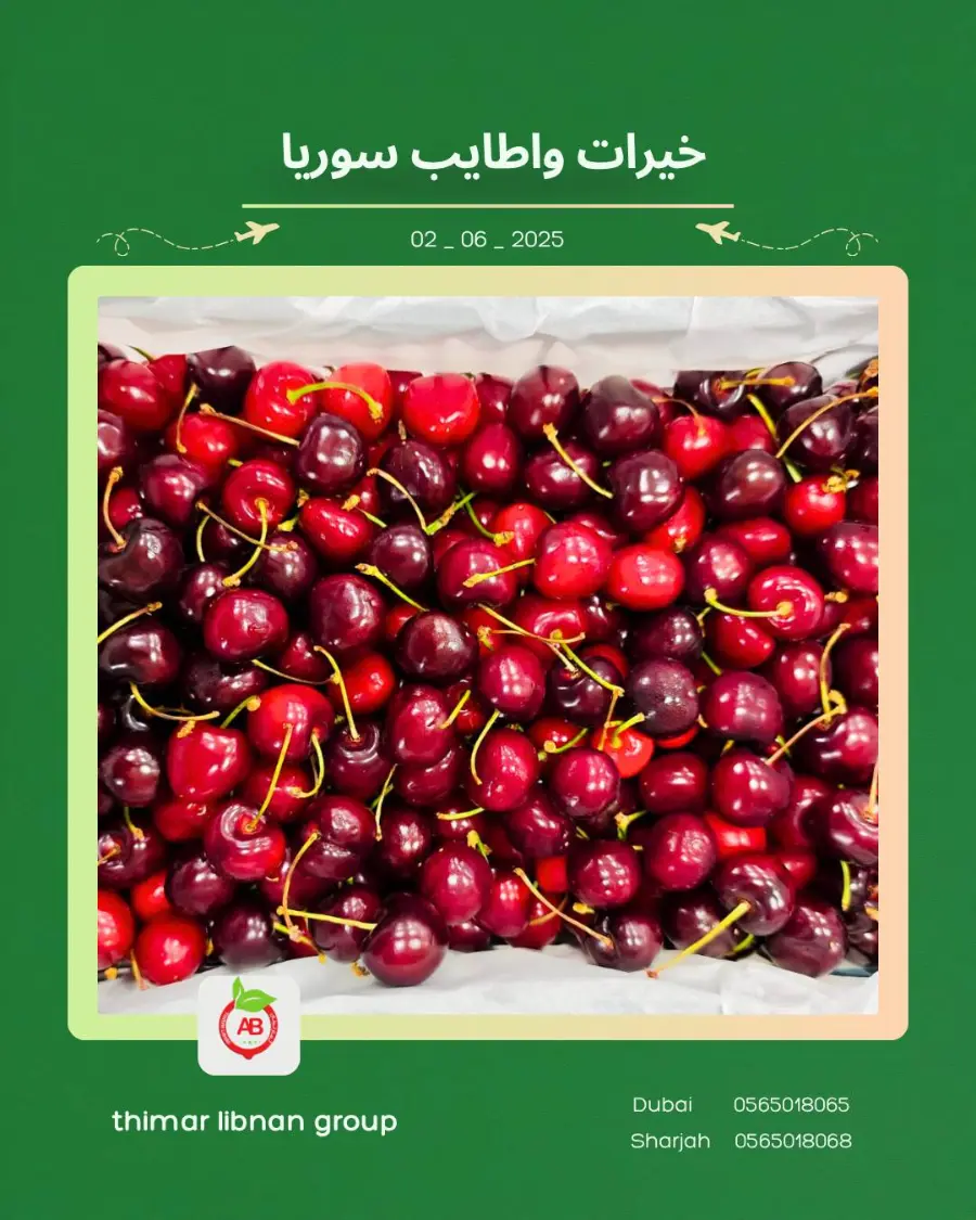Monday Deals In Thimar Libnan Dubai
