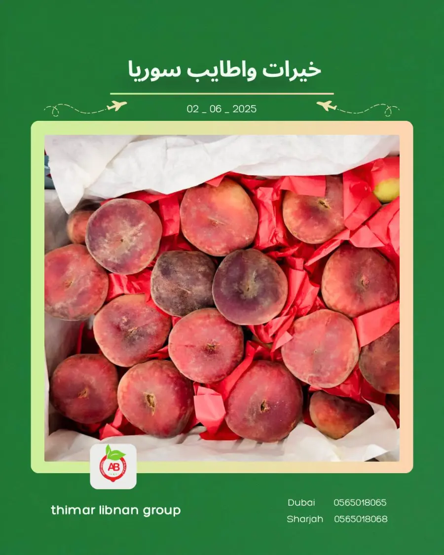 Monday Deals In Thimar Libnan Dubai