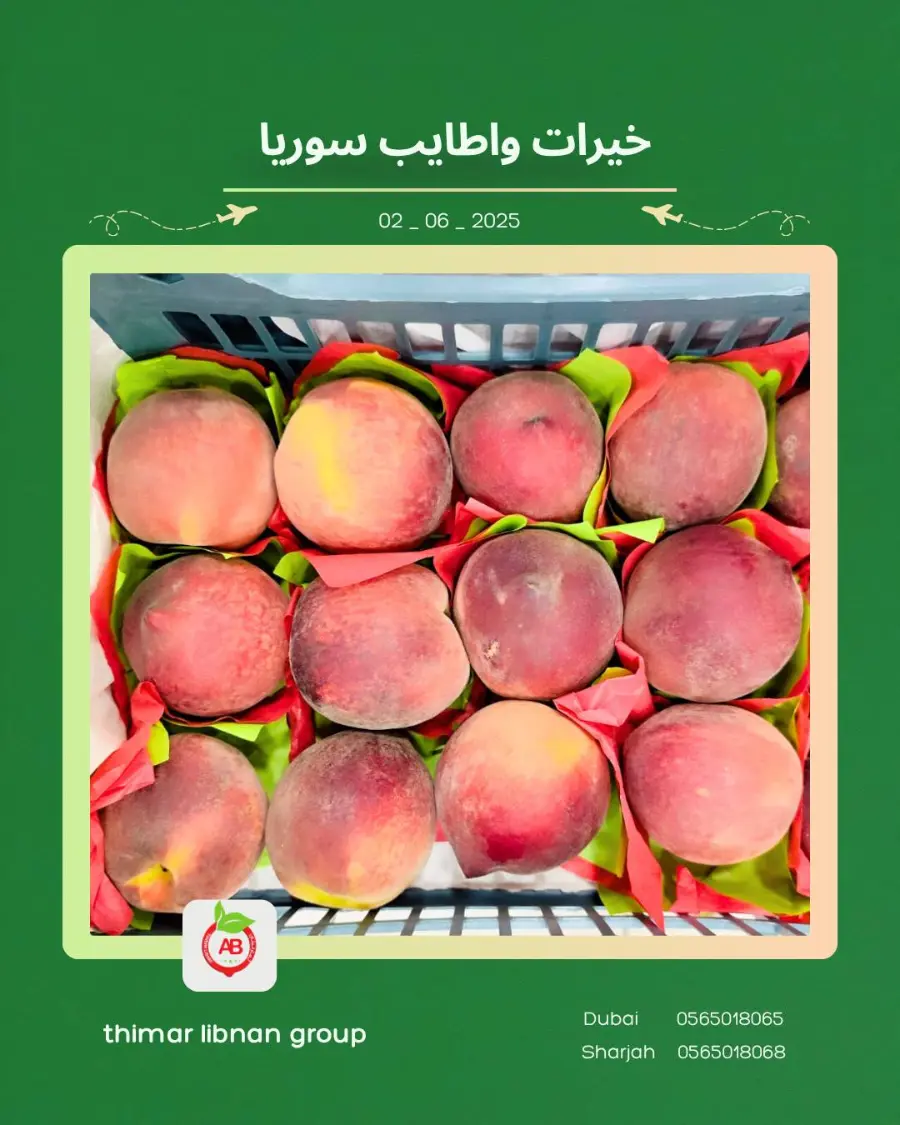 Monday Deals In Thimar Libnan Dubai