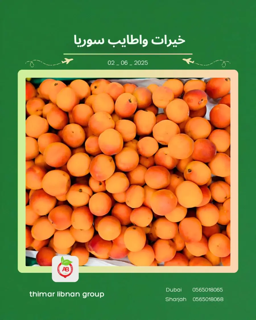 Monday Deals In Thimar Libnan Dubai