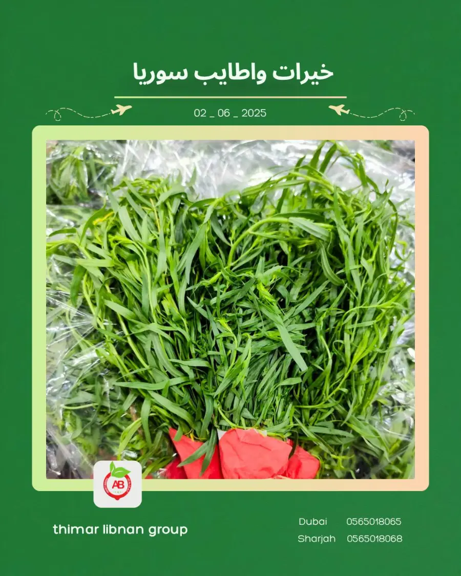Monday Deals In Thimar Libnan Dubai