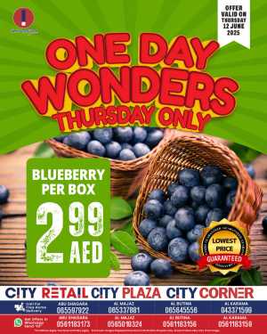 One Day Offer In City Retail Dubai,Sharjah / Ajman