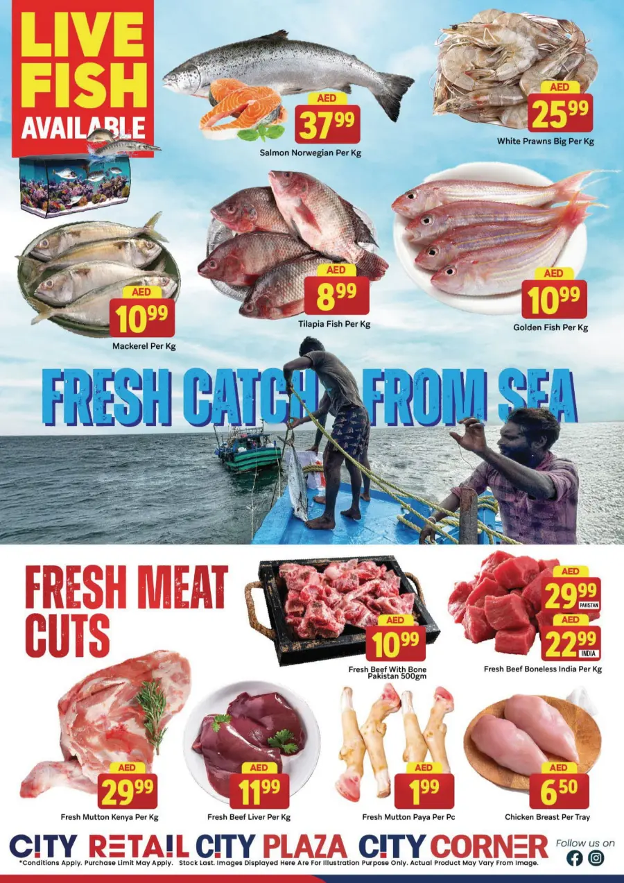 Mega Shocking Price In City Retail undefined