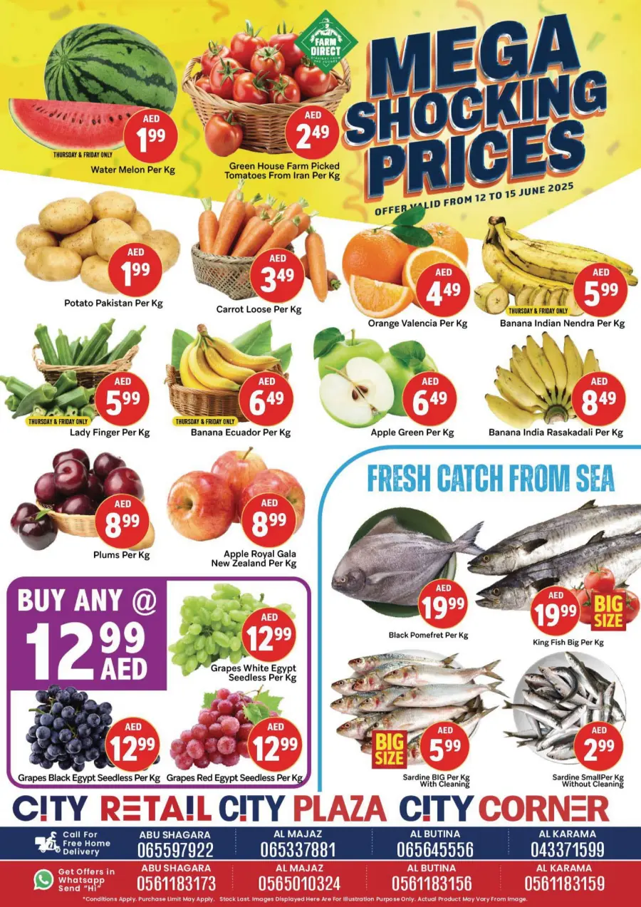 Mega Shocking Price In City Retail undefined