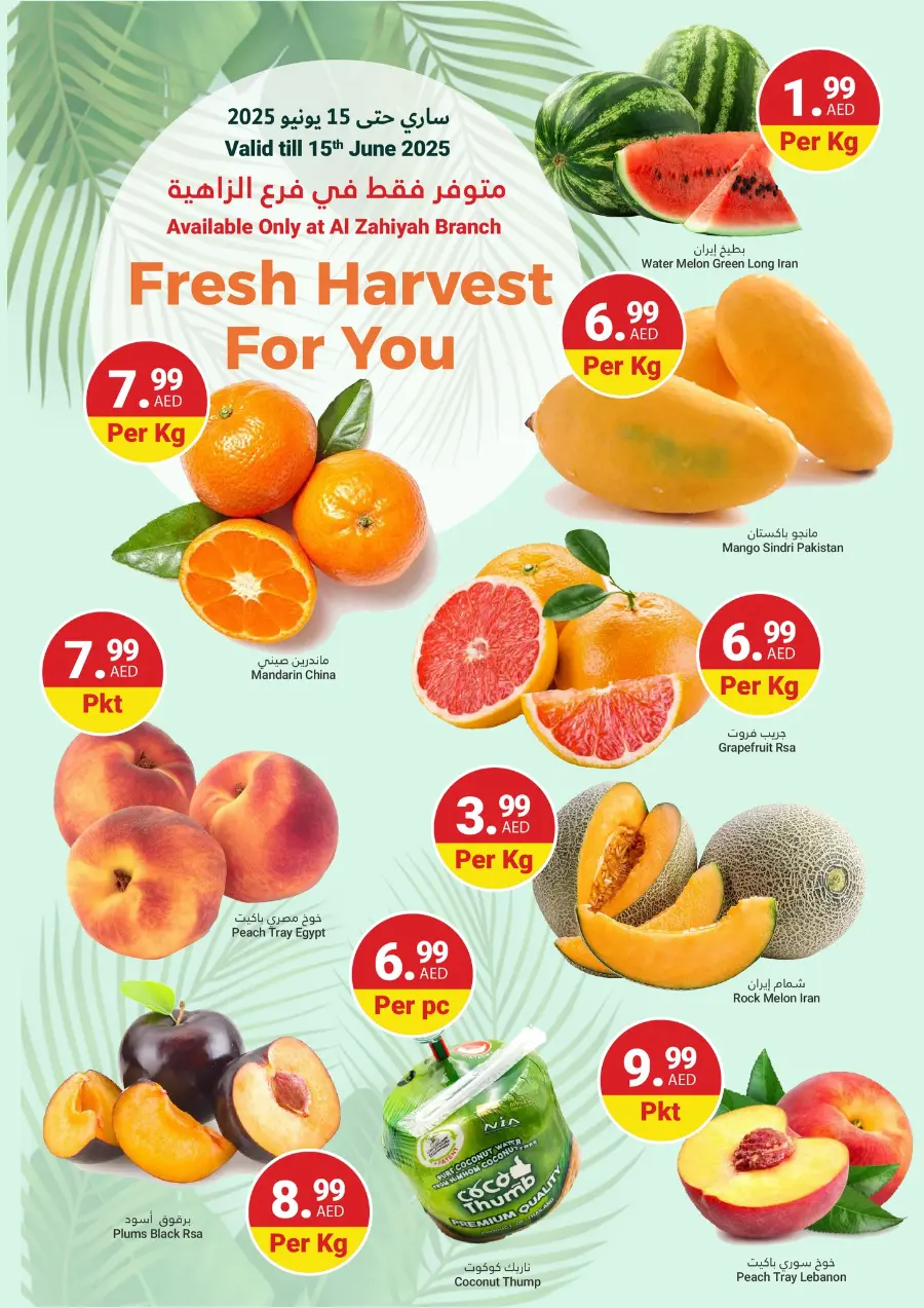 Grand Savings In Grand Emirates Market Abu Dhabi