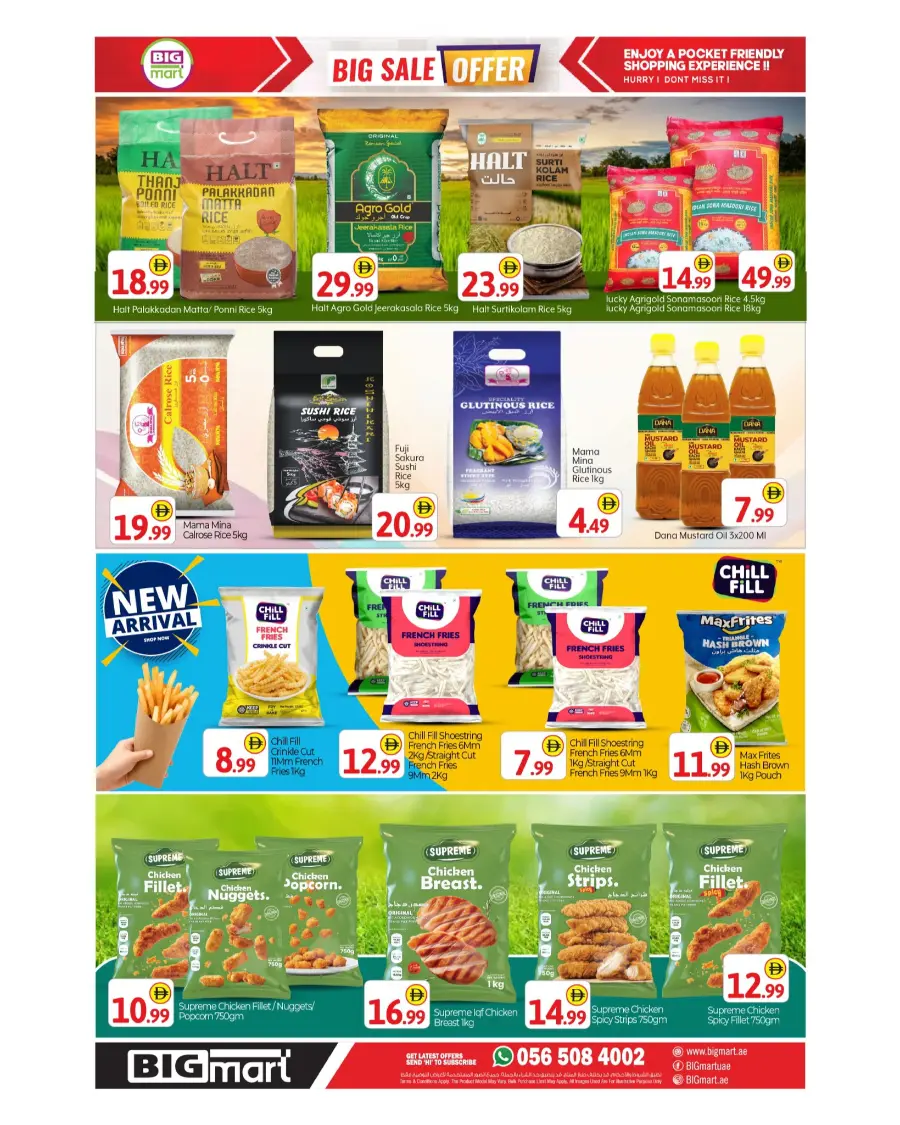 Philippines Indipendes Day Offer In BIG mart undefined