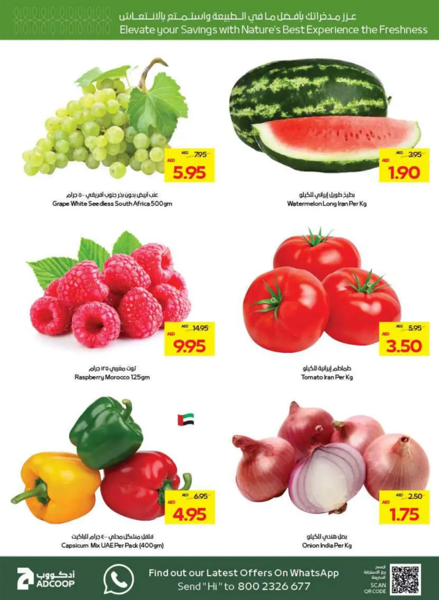 Great Deals In Abu Dhabi COOP Abu Dhabi