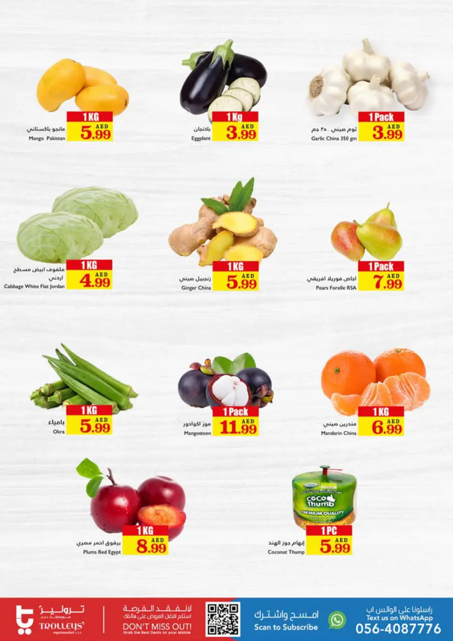 Deal of the Week In Trolleys Supermarket Sharjah / Ajman