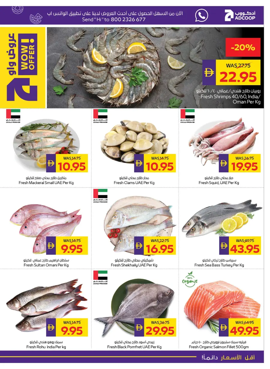 Enjoy Your Holidays With Our Best Deals In Abu Dhabi COOP Abu Dhabi