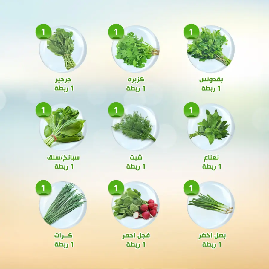 Offers In Al Nahda Masriya Abu Dhabi