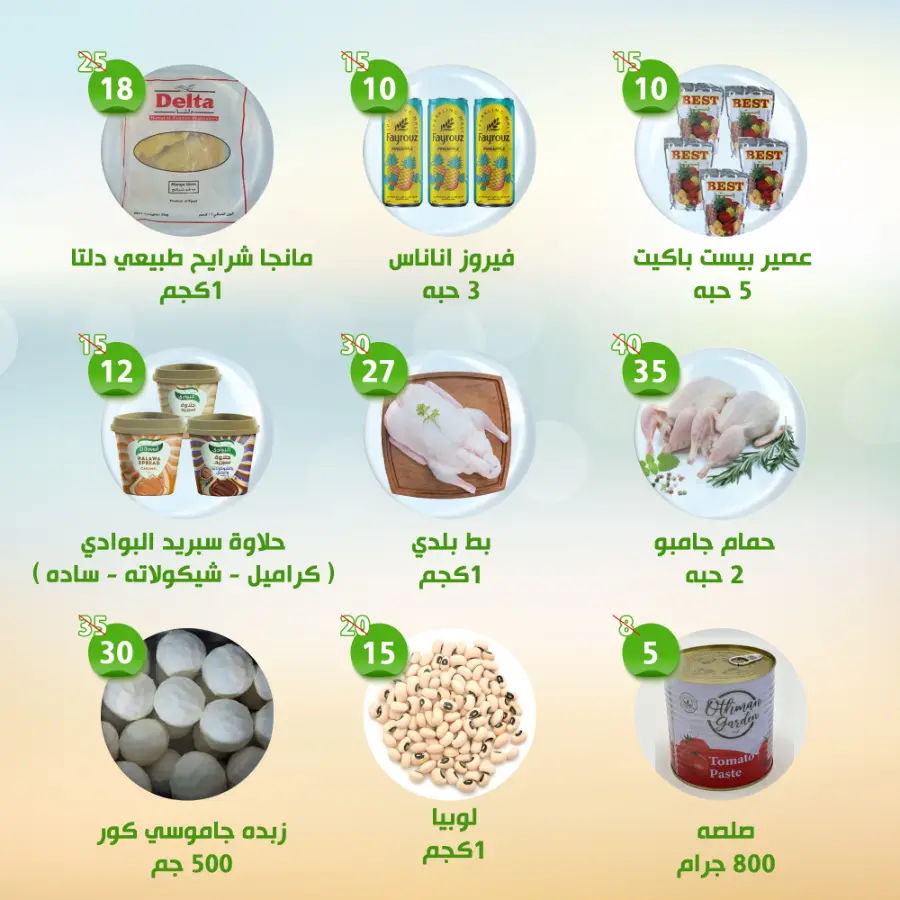 Offers In Al Nahda Masriya Abu Dhabi