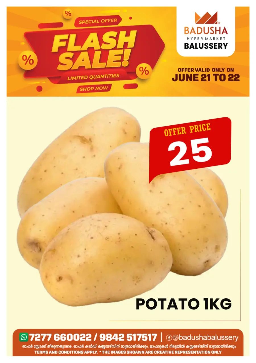 Flash sale In Badusha Hypermarket undefined