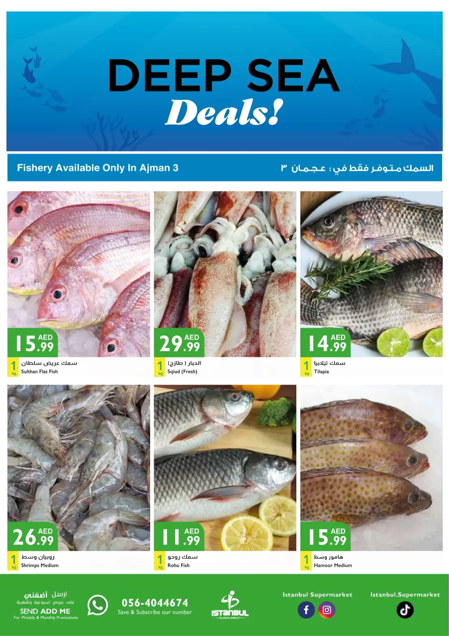 Fresh Deals In Istanbul Supermarket Abu Dhabi