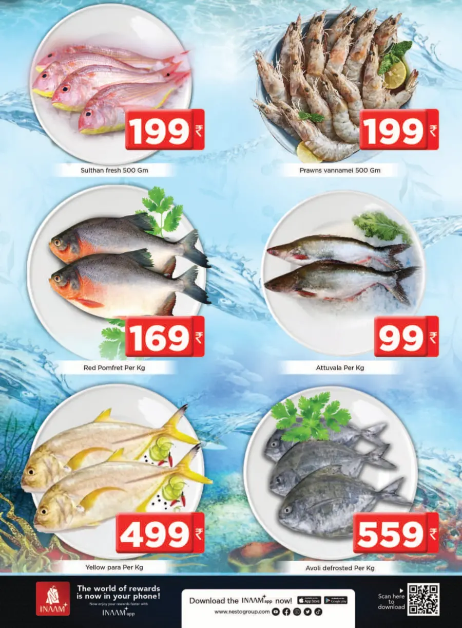 Tuesday Offer In Nesto Hypermarket undefined
