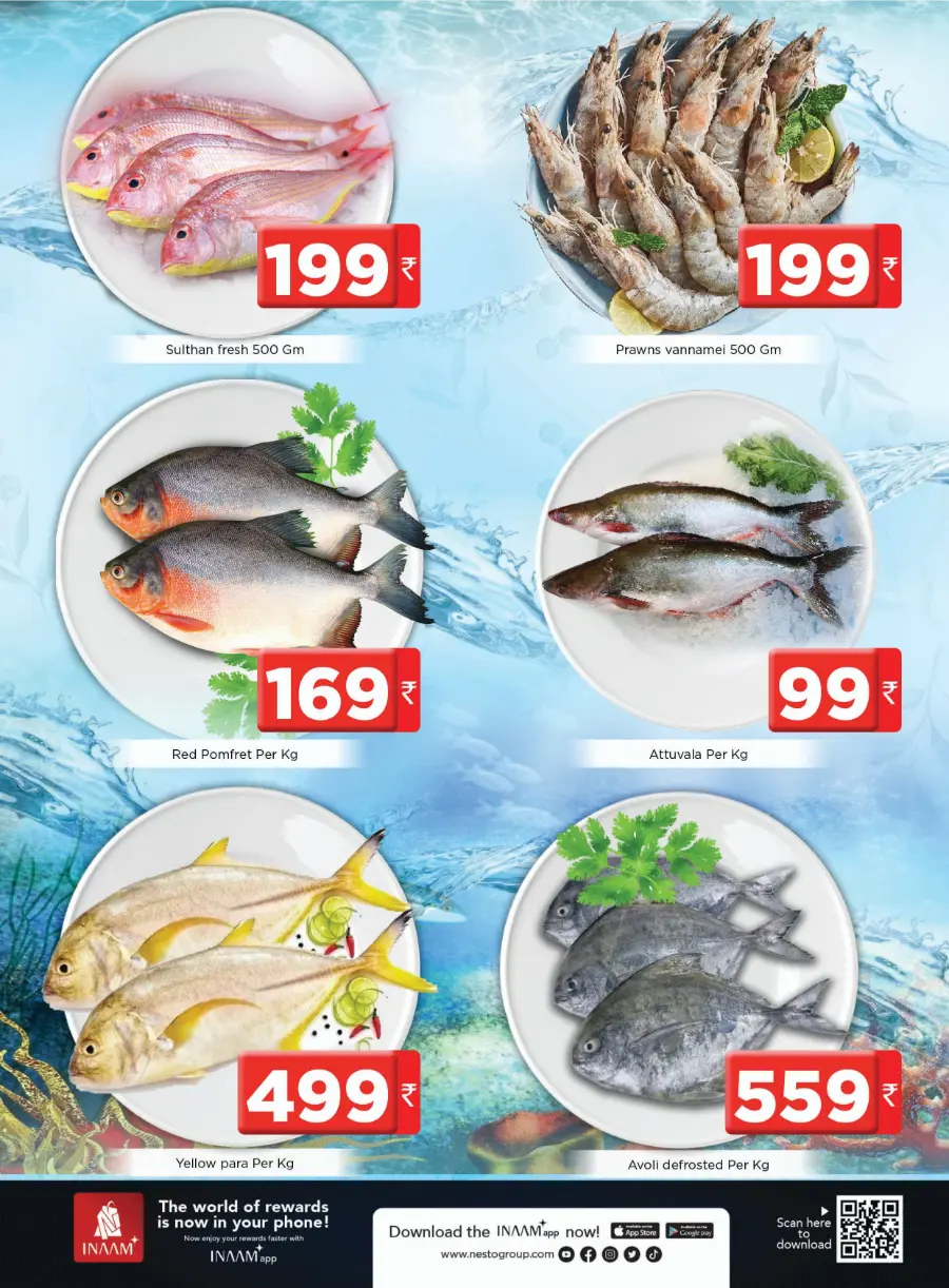 Tuesday Offer In Nesto Hypermarket undefined