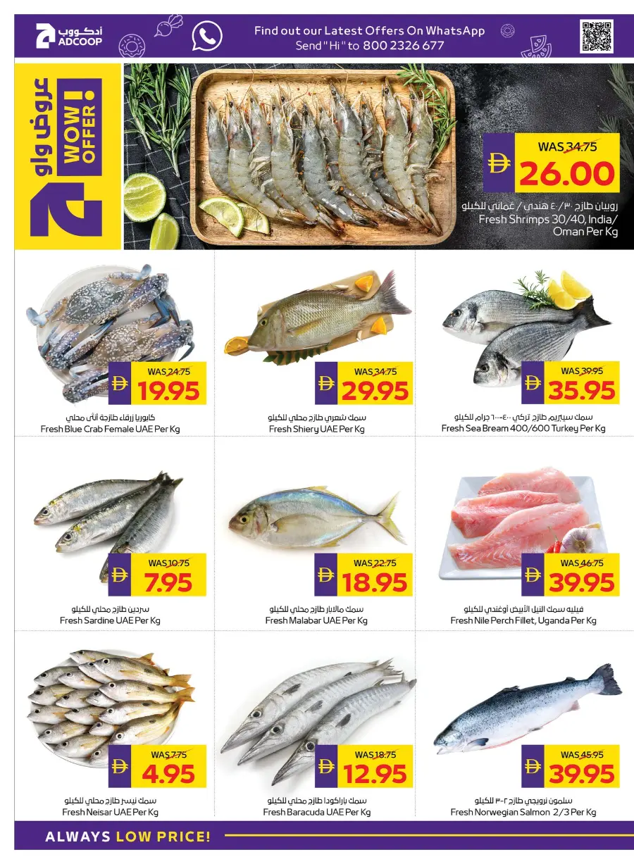 Enjoy Your Holidays With Our Best Offers In Abu Dhabi COOP Umm al Quwain