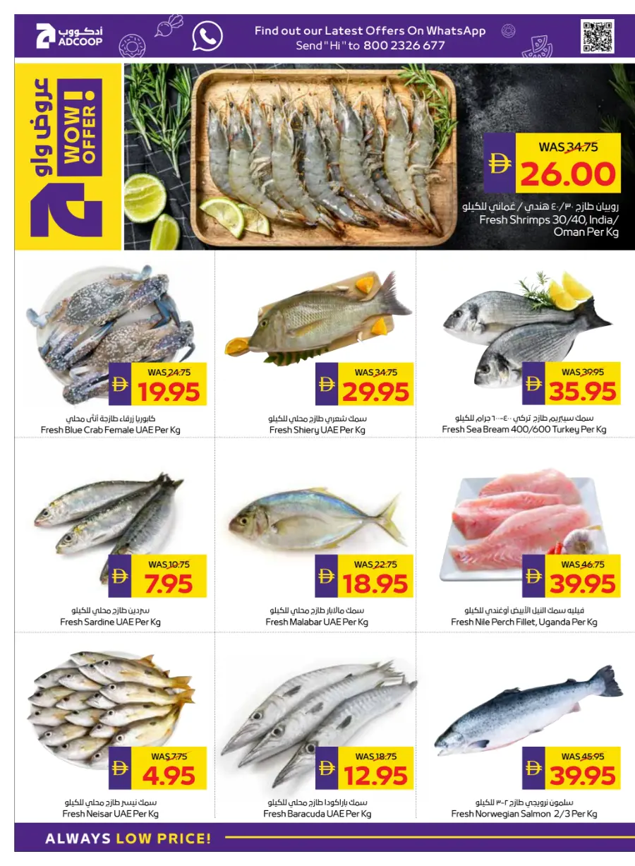 Holiday Sale – Up to 50% OFF In Megamart Sharjah / Ajman