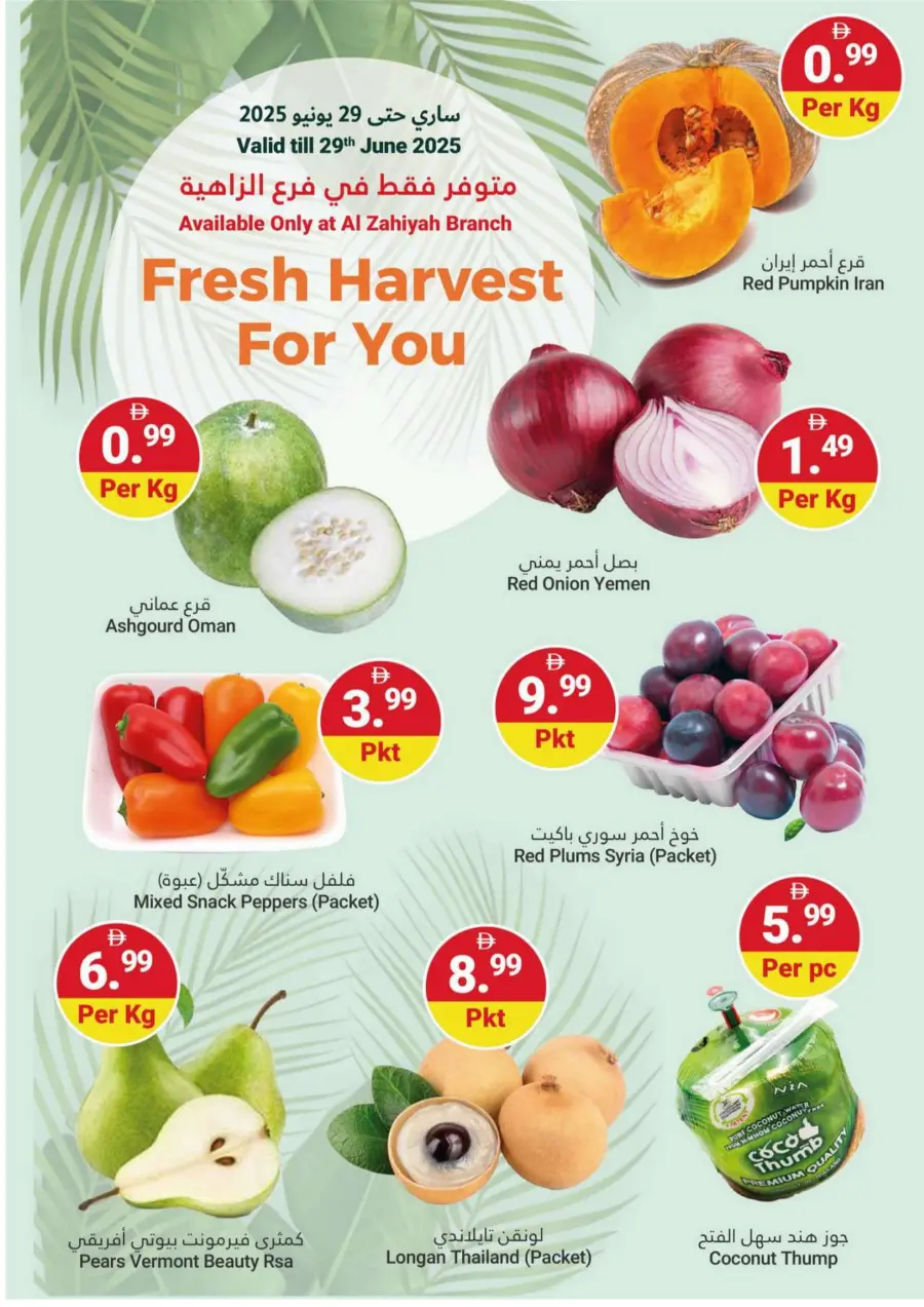 Summer Saver In Grand Emirates Market Abu Dhabi