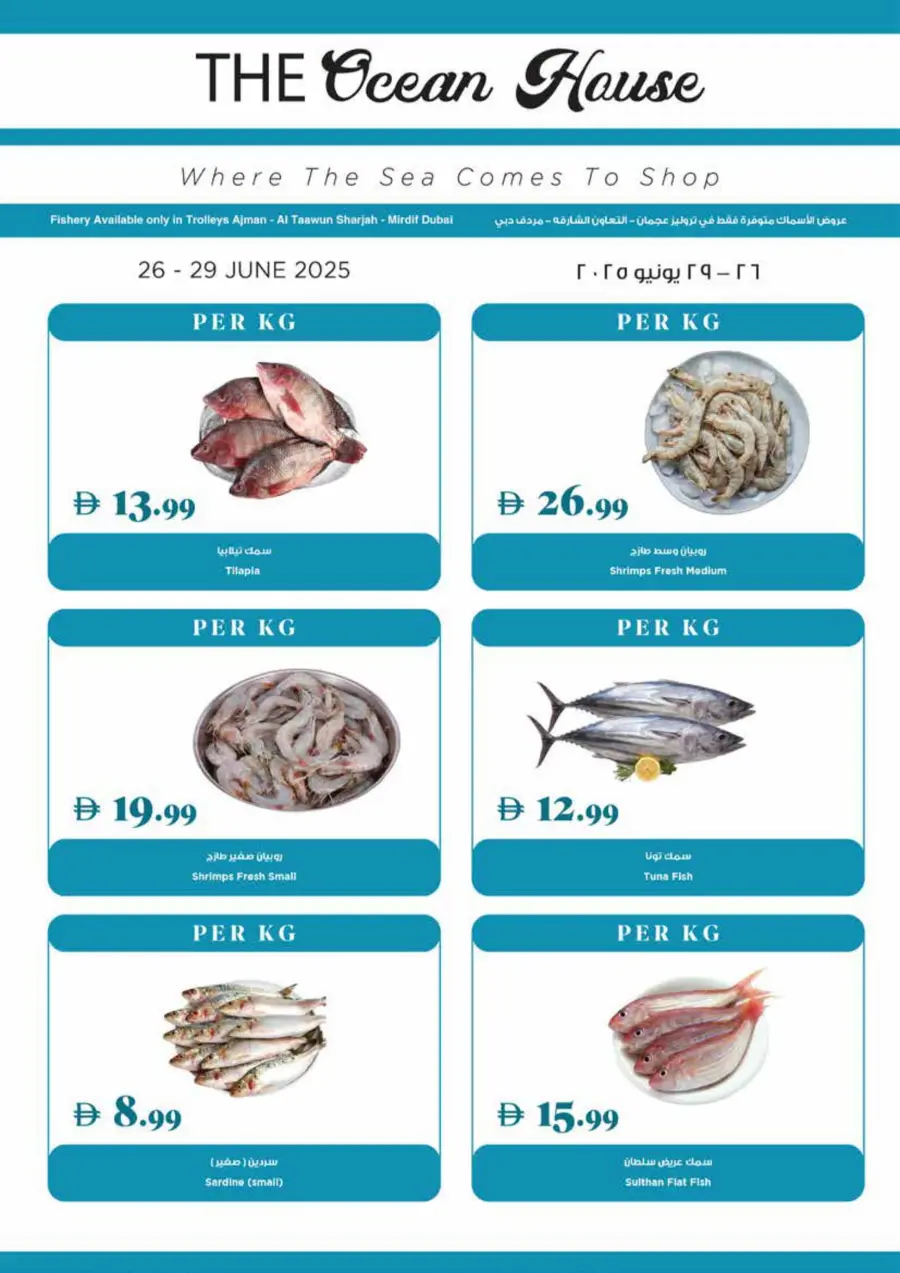 Super Deal In Trolleys Supermarket Sharjah / Ajman