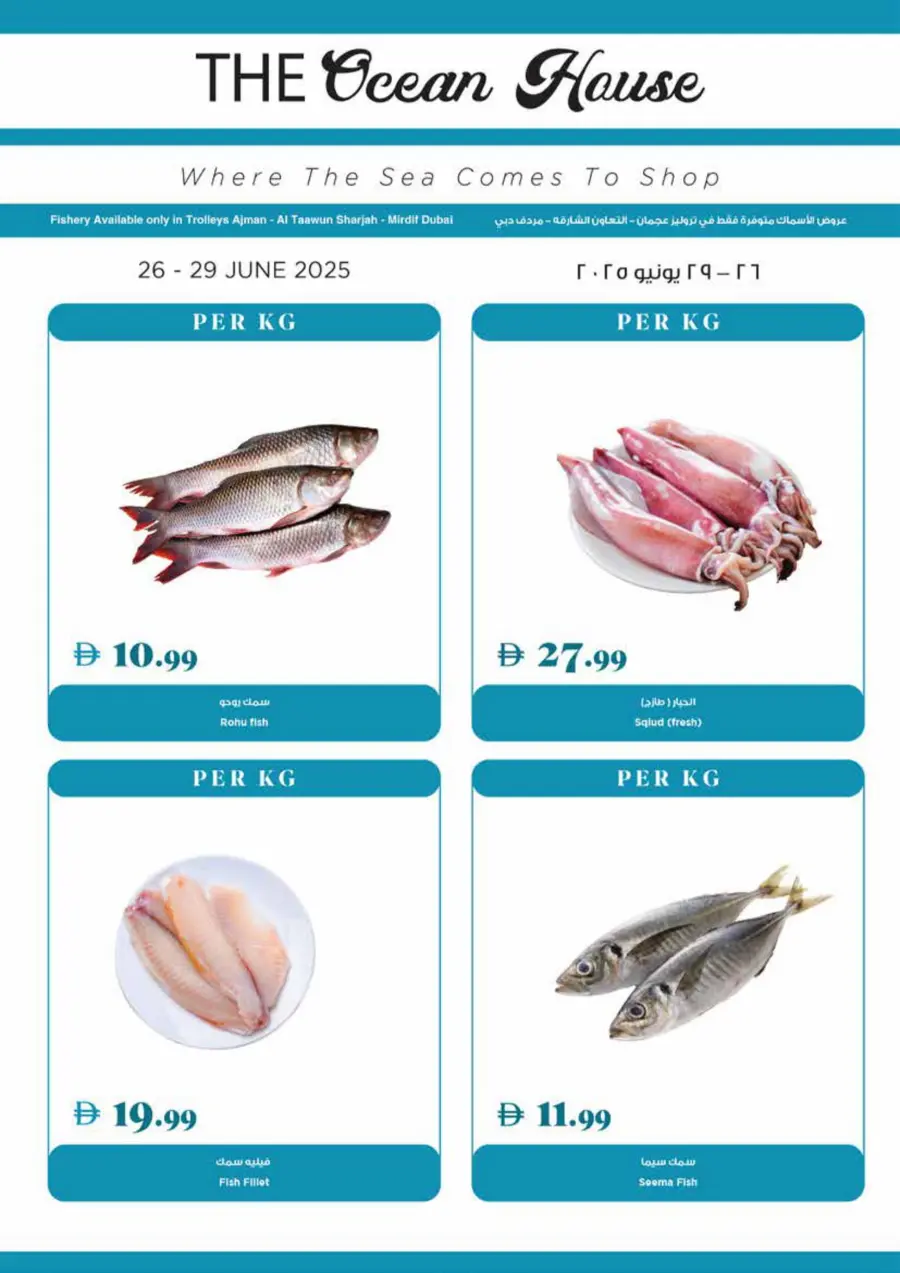 Super Deal In Trolleys Supermarket Sharjah / Ajman