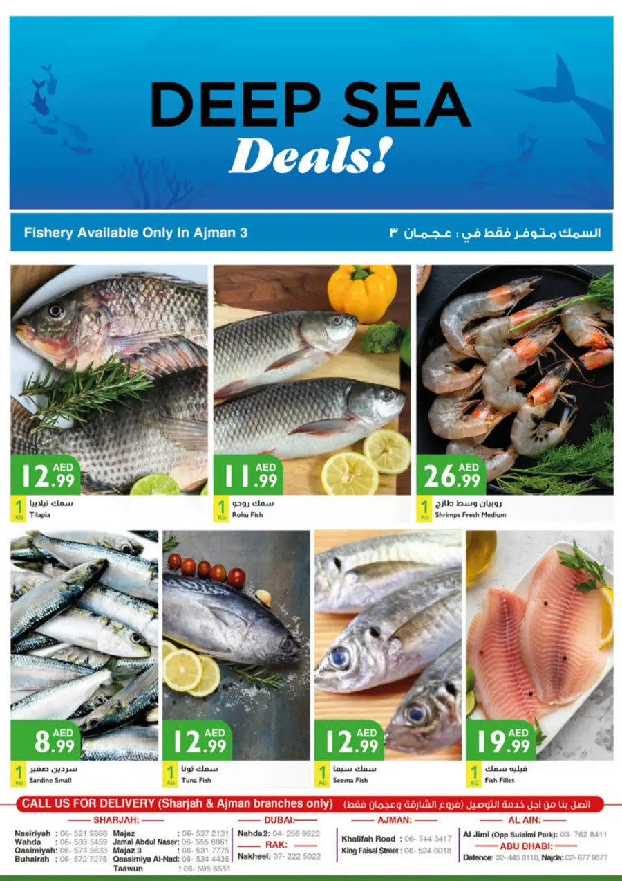Fresh Deals In Istanbul Supermarket Ras al Khaimah