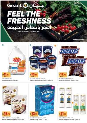 Feel The Freshness In Geant Dubai