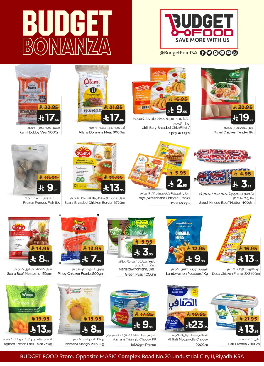Budget Bonanza In Budget Food undefined