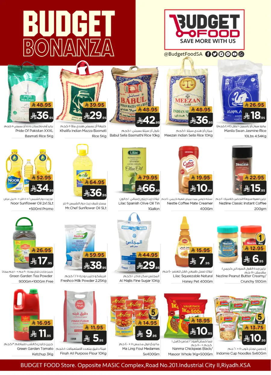 Budget Bonanza In Budget Food undefined