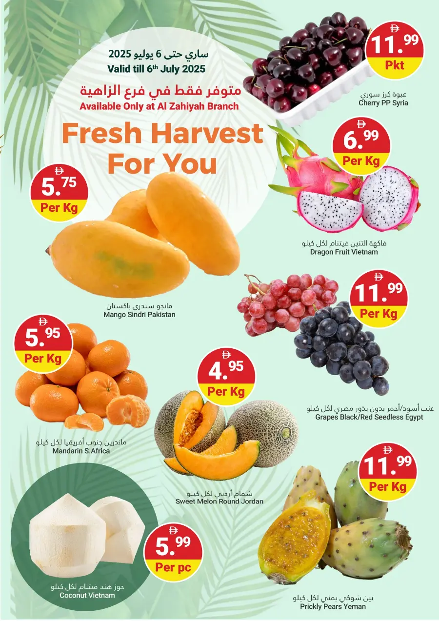Summer Saver In Grand Emirates Market Abu Dhabi