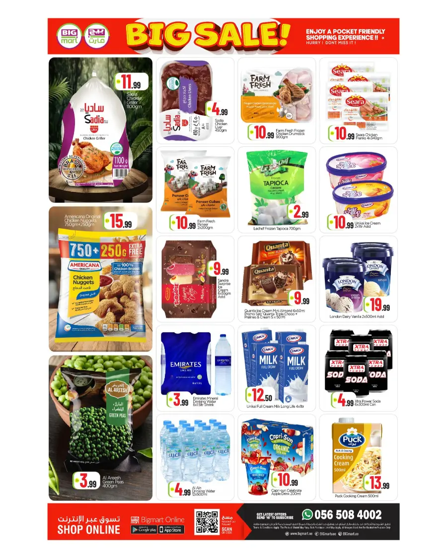 Big Sale In BIG mart Dubai