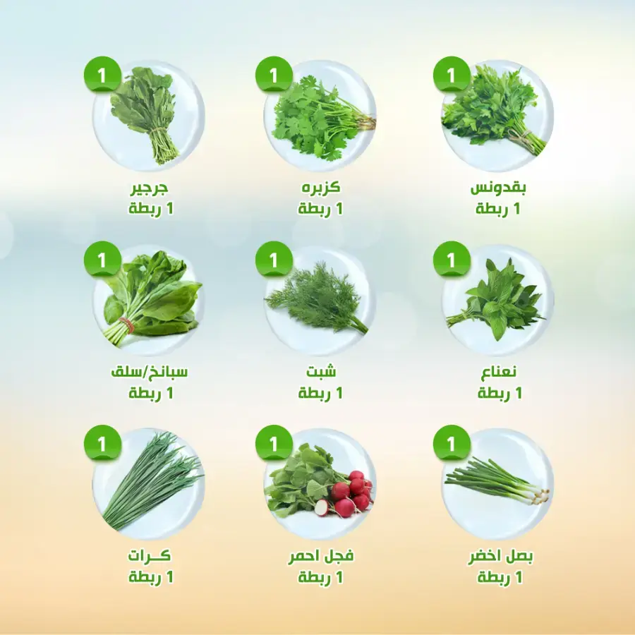 Offers In Al Nahda Masriya Abu Dhabi