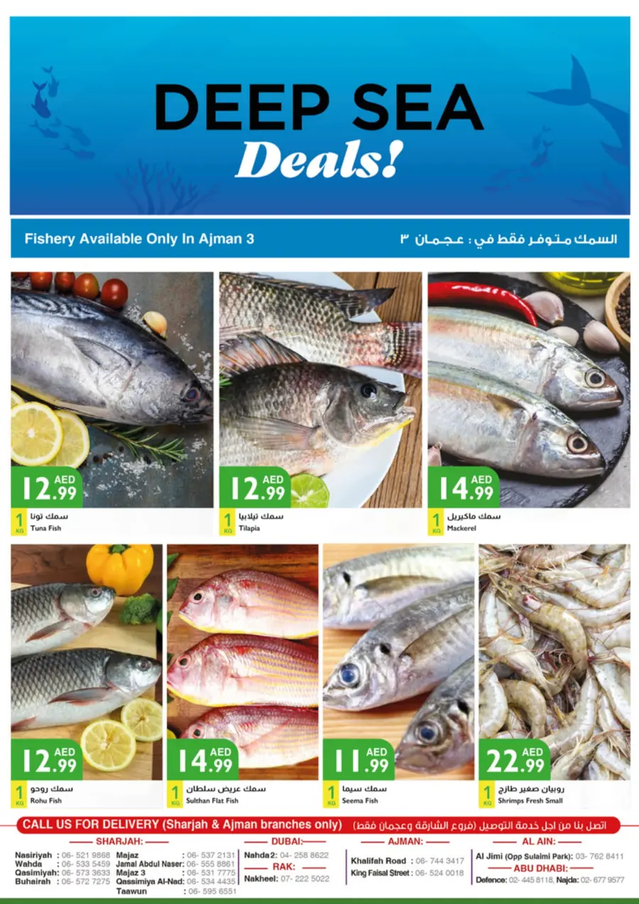 Fresh Deals In Istanbul Supermarket Ras al Khaimah