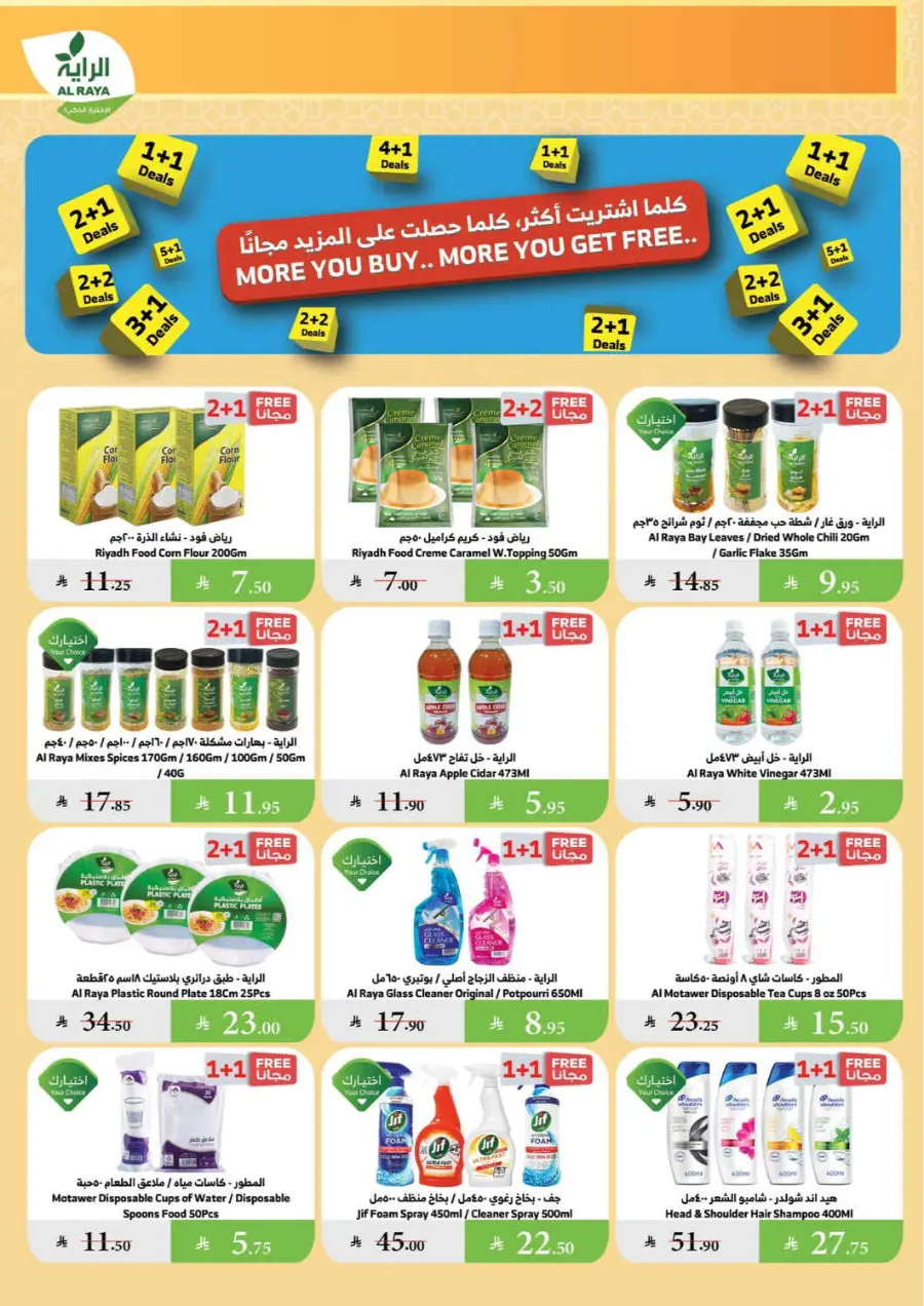 Summer Offer In Al Raya undefined