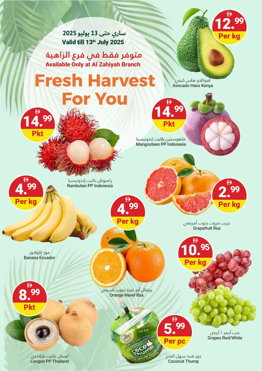 Summer Saver In Grand Emirates Market Abu Dhabi