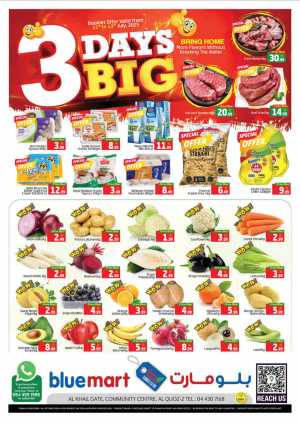 3 Days  Big Deals In Bluemart Dubai