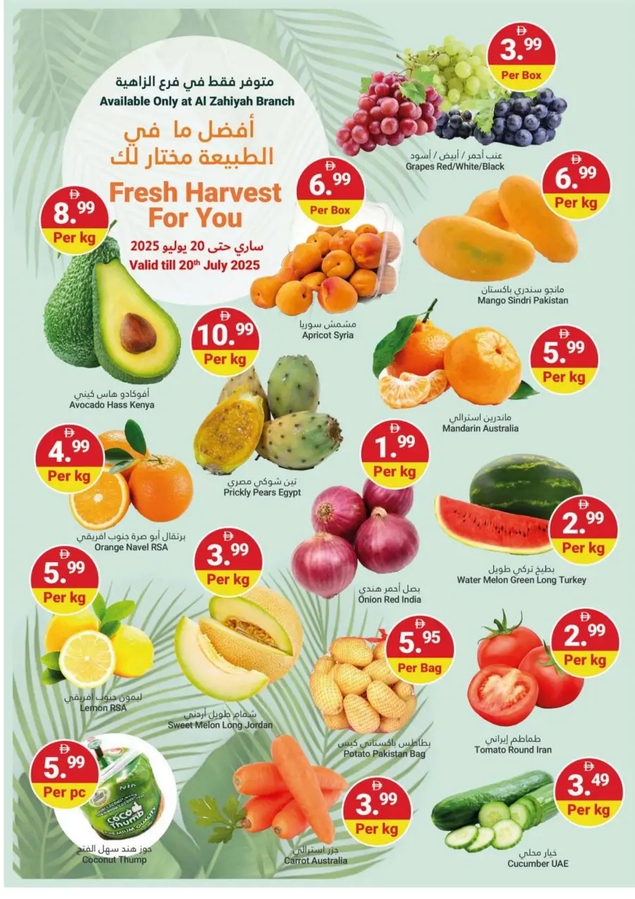 Summer Saver! In Grand Emirates Market Abu Dhabi