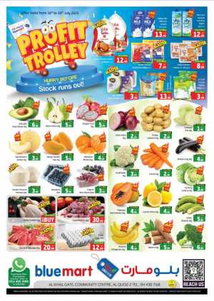 Profit Trolly In Bluemart Dubai