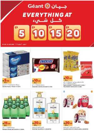 Everything at 5,10,15,20 In Geant Dubai